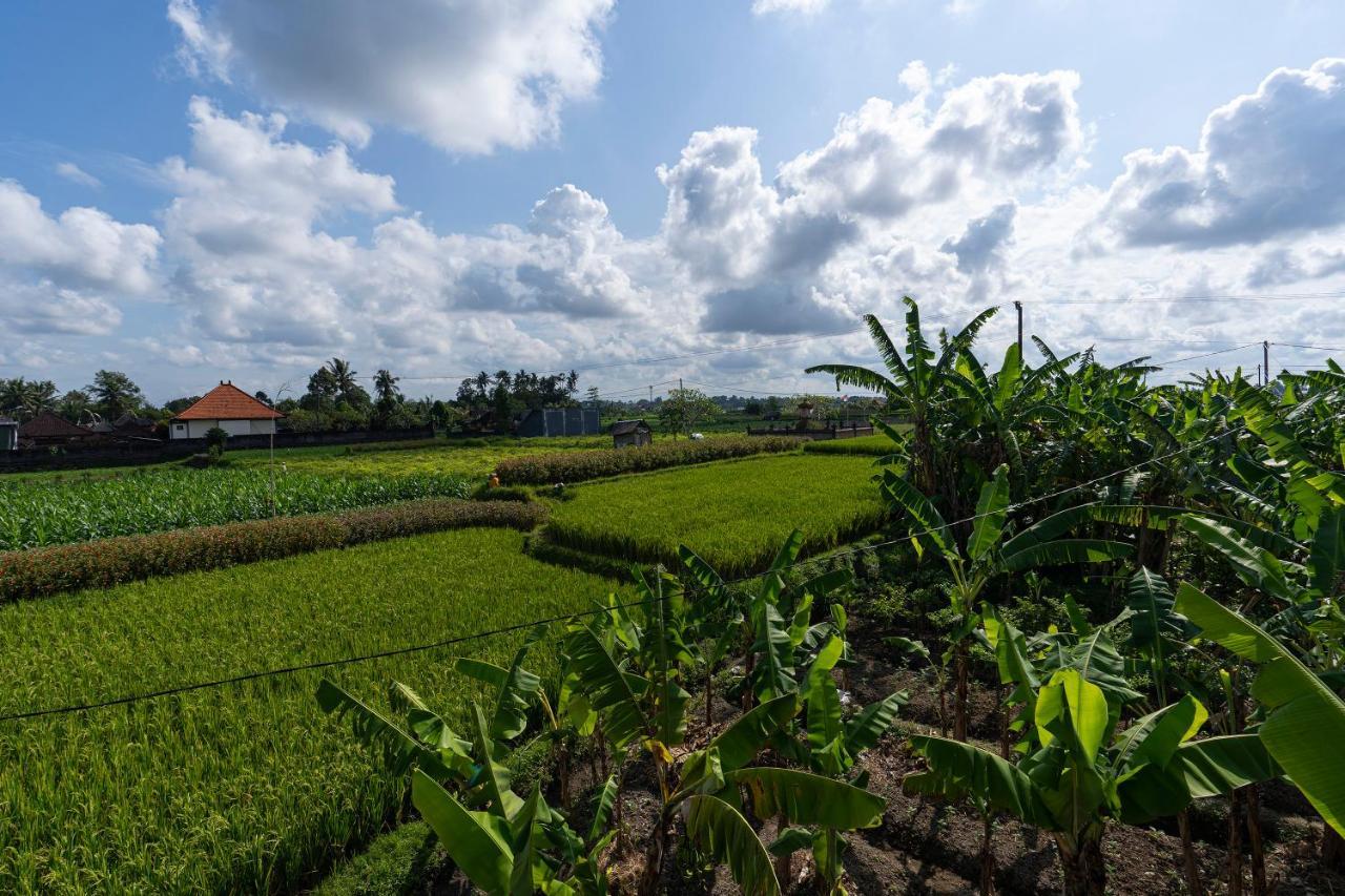 Willa Oemah Joglo Bali Ubud Zewnętrze zdjęcie